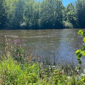 Meet your Posher, Abigayle